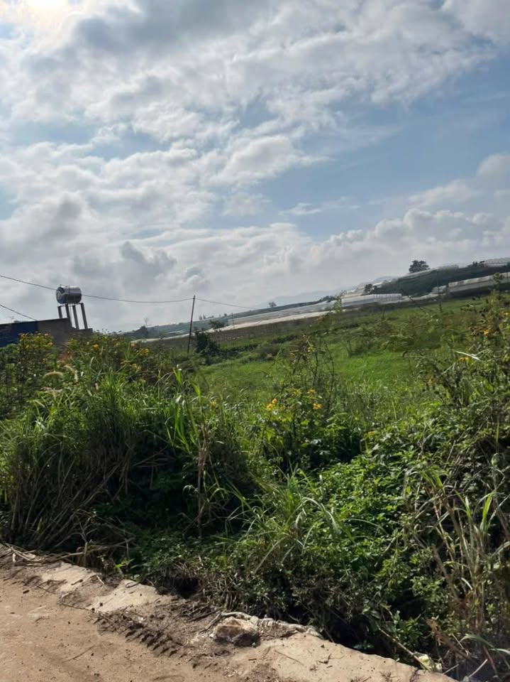 Đất nền Quảng Lập 1050m² giá 1.85 tỷ - Cơ hội đầu tư hiếm có!