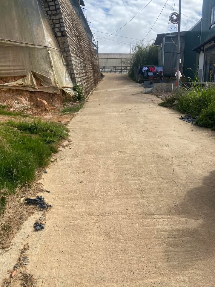 Bán lô đất Thánh Mẫu, Đà Lạt 85m² giá 800 triệu - Cơ hội đầu tư tuyệt vời!