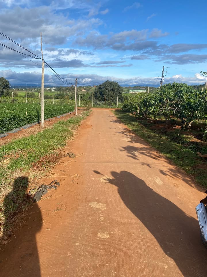 Đất nền hẻm Trương Định, phường An Phú, 3984m² chỉ 2.49 tỷ - Giá tốt nhất khu vực!