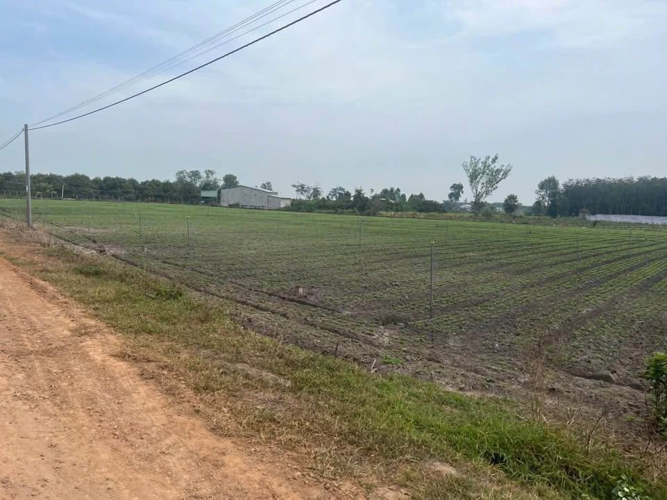 Đất công Chà Là Dương Minh Châu 24000m² giá 1.854 tỷ - Cơ hội đầu tư hấp dẫn!