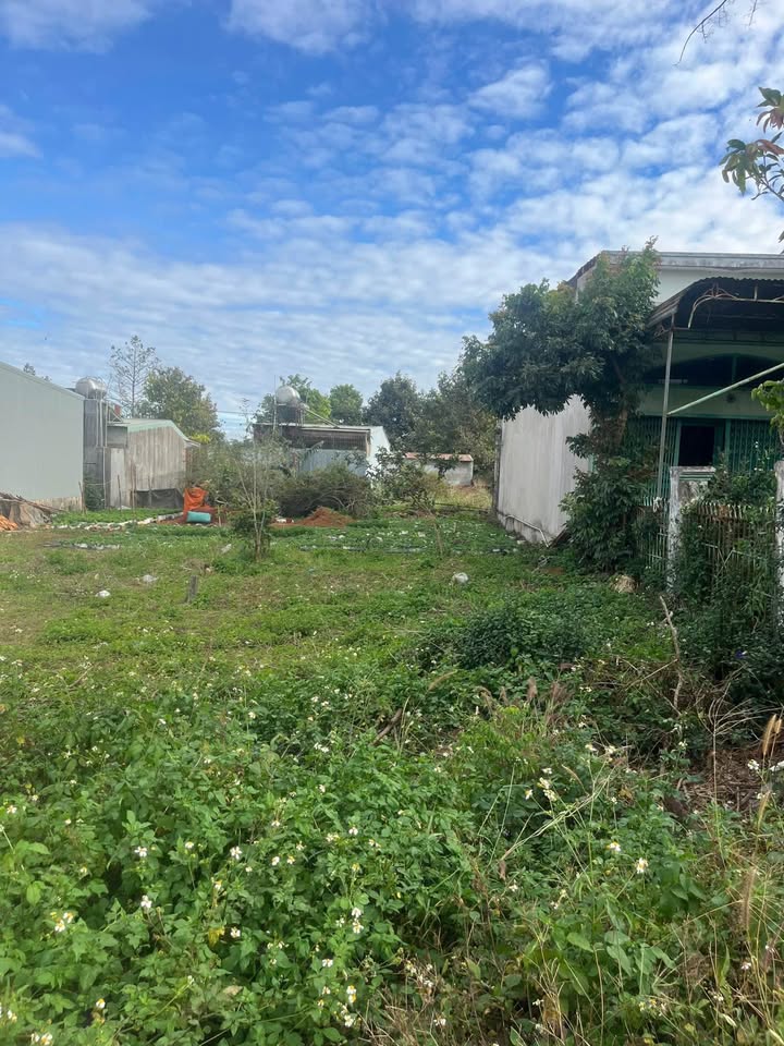 Lô đất Pleiku 180m² giá 1.4 tỷ - Vị trí siêu tiện ích gần BV Nhi!