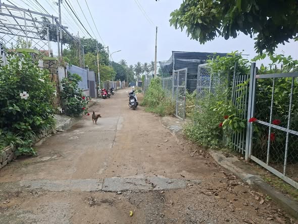 Đất nông nghiệp 500m² tại Đô Vinh chỉ 750 triệu - Cơ hội đầu tư tuyệt vời!