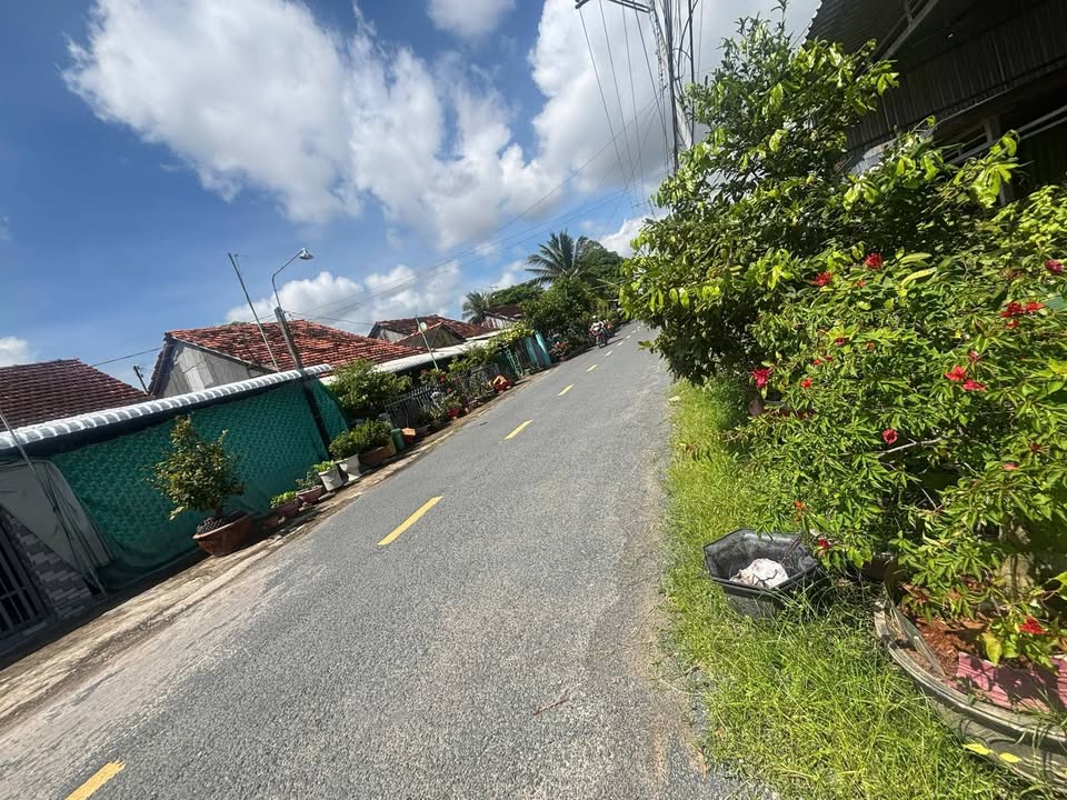 Đất nông nghiệp Ấp Tân Hòa B, Thanh Bình, Đồng Tháp 1.600m² - Mặt tiền đường nhựa, gần Khu du lịch Tiên Sen!