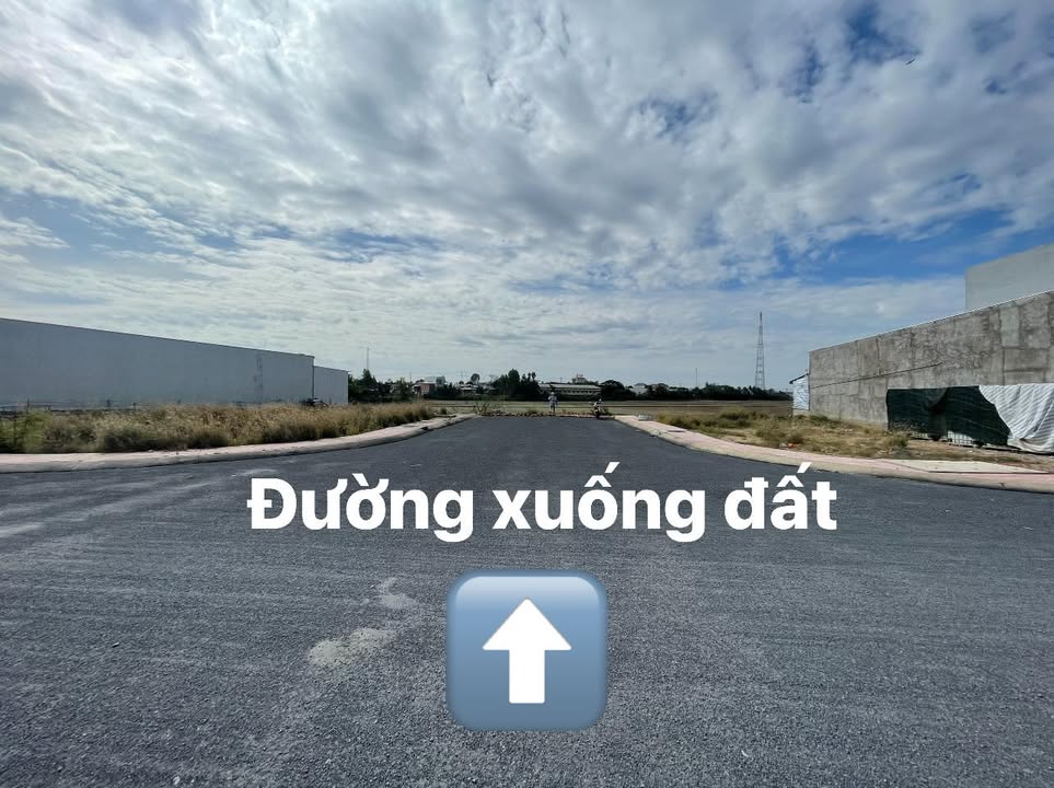 Đất ruộng 10.000m² tại phường Thường Lạc, TP Hồng Ngự - Cơ hội đầu tư hấp dẫn!