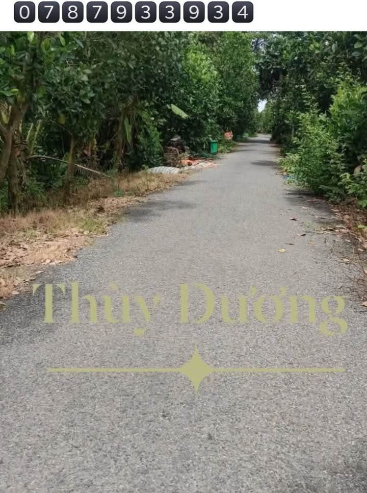 Đất nông nghiệp 190 công tại xã Phương Thịnh, Đồng Tháp - Đường nhựa ô tô đến đất!