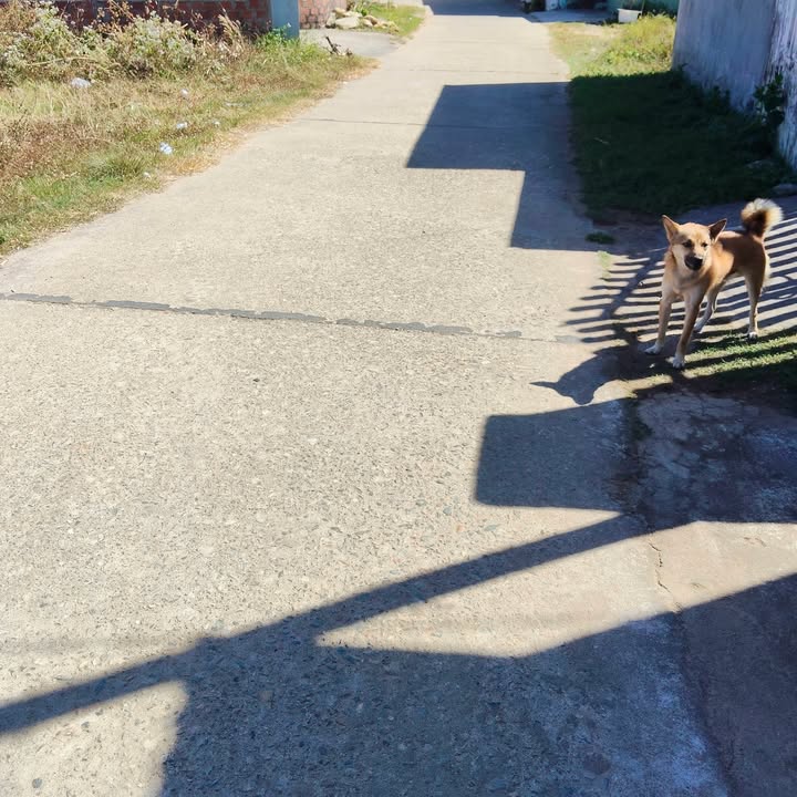 Đất thổ cư 155m² tại thôn 9 Đăk Cấm giá chỉ 650 triệu - Cơ hội đầu tư tuyệt vời!