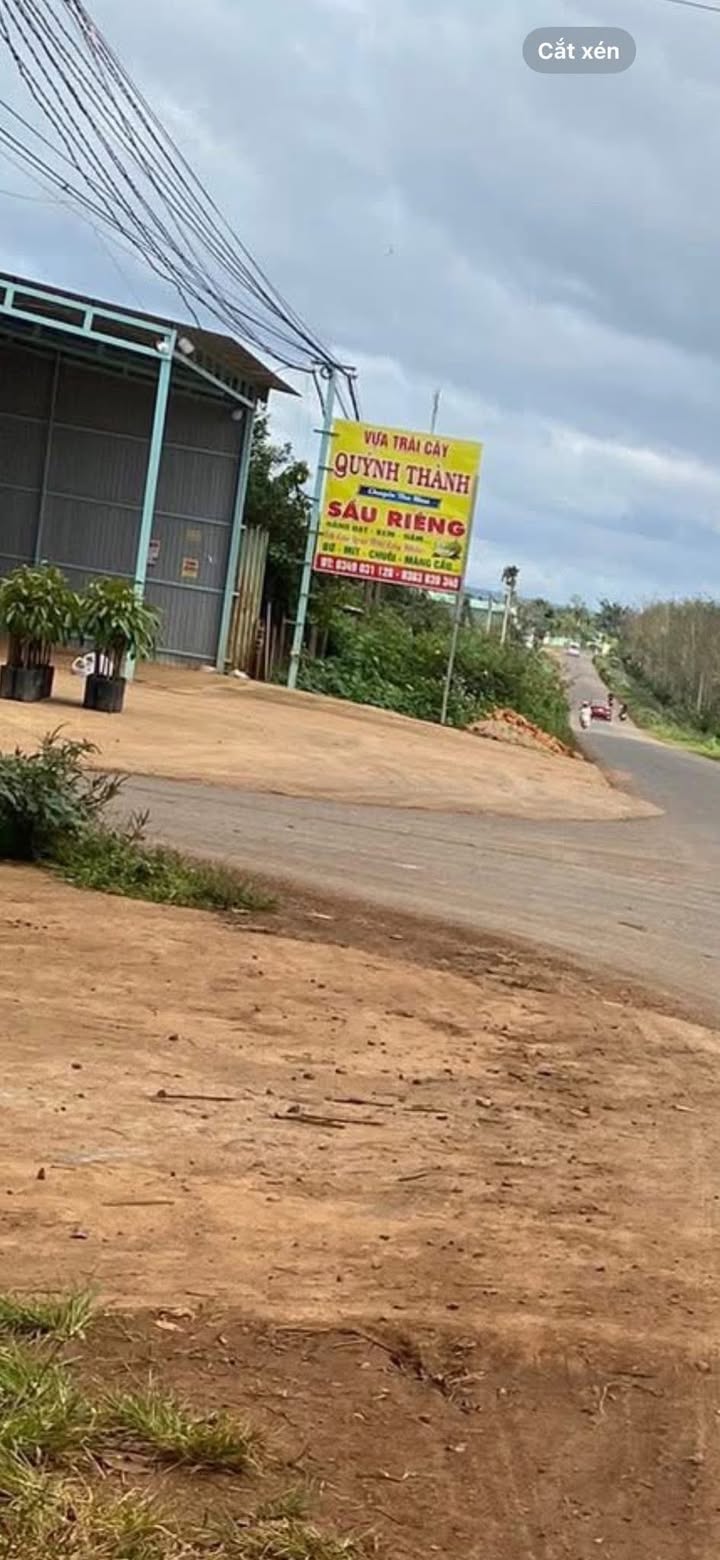 Đất thổ cư 560m² đường Ea Hồ - Ea Tó chỉ 300 triệu - Đầu tư sinh lời ngay!