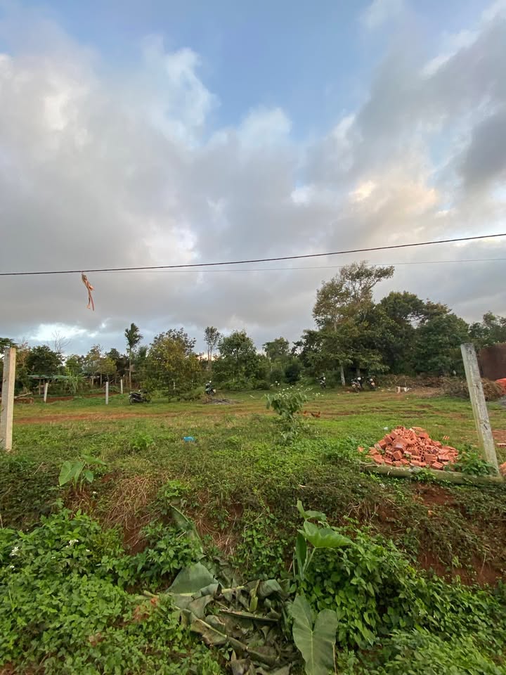 Đất nền Buôn Ma Thuột 6.35m² giá 570 triệu - Cần bán gấp!