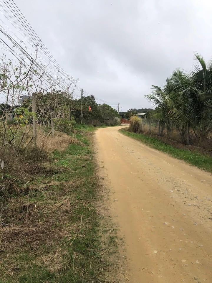 Đất nền Ea Ô, Ea Kar 280m² chỉ 350 triệu - Cơ hội đầu tư hấp dẫn!