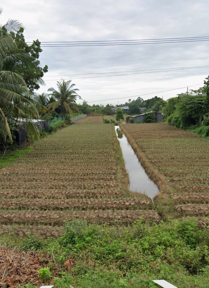 Đất nền Quốc Lộ 54, xã Tân Quới, 300m² giá 1.55 tỷ - Vị trí đẹp, tiềm năng kinh doanh!