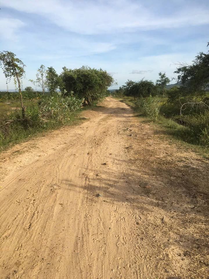 Đất Farm 100 hecta tại Thuận Minh, Hàm Thuận Bắc - Giá chỉ 8 triệu/ha