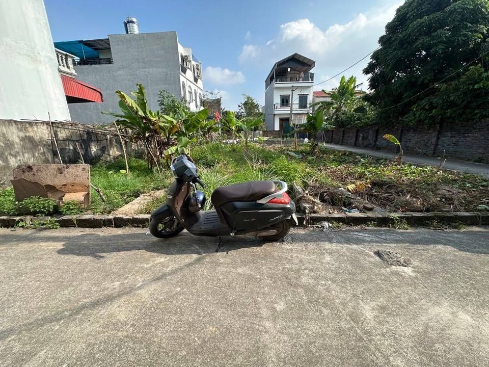 Lô đất đẹp Tam Hưng - Thanh Oai 65m² giá 4 tỷ - Đường ô tô vào tận nơi!