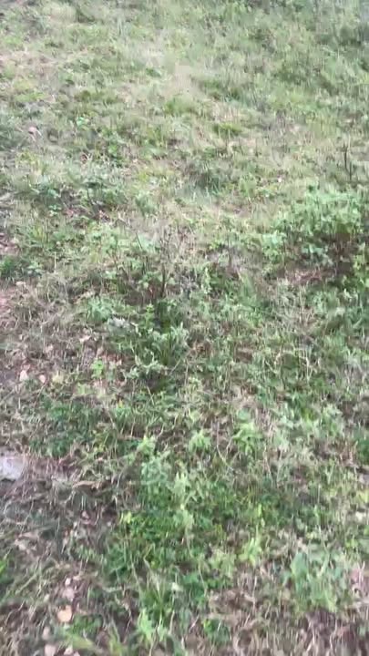 Đất nền Kỳ Anh 150m² giá 800 triệu - Sổ đỏ chính chủ, vị trí đẹp!