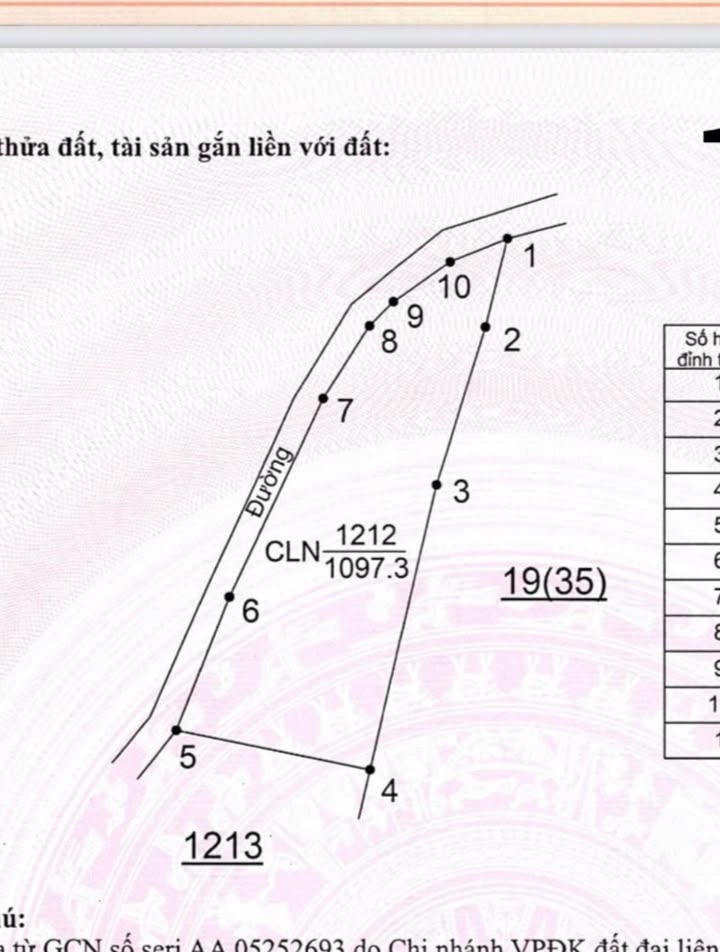 Đất nông nghiệp 1080m² tại Bình Sơn, Lục Nam - Giá chỉ 200 triệu!