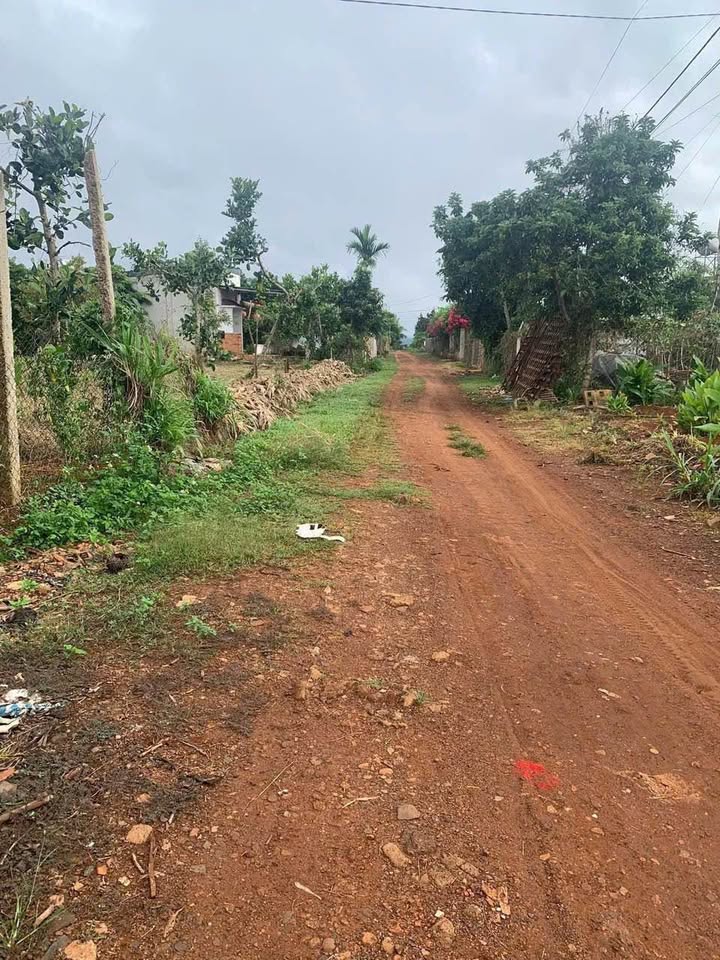 Đất nền Phú Xuân 1200m² giá 800 triệu - Nhanh tay sở hữu vị trí đẹp!