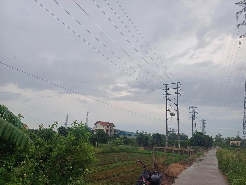 Đất vườn Tân An, Thanh Hà 2520m² - Đầu tư sinh lời với cây ăn quả