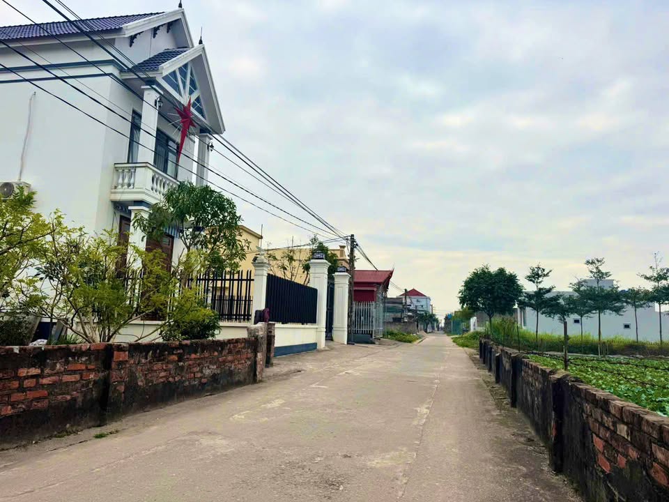 Đất nền Nam Thanh, Tiền Hải 100m² giá chỉ 8xx - Đầu tư sinh lời lý tưởng!