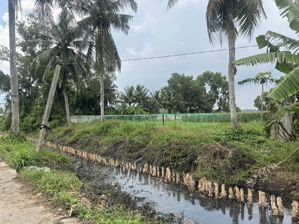 Bán đất Bờ Kinh Bích Trì 2700m² giá 3 tỷ - Đầu tư sinh lời ngay!