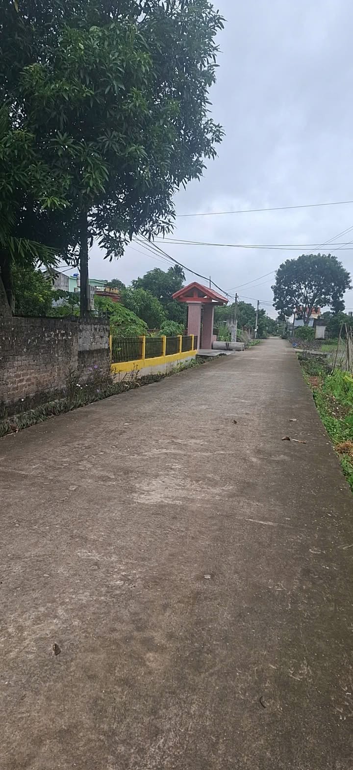 Đất thổ cư Cúc Phương Ninh Bình 350m² giá 1.1 tỷ - Gần trung tâm hành chính!