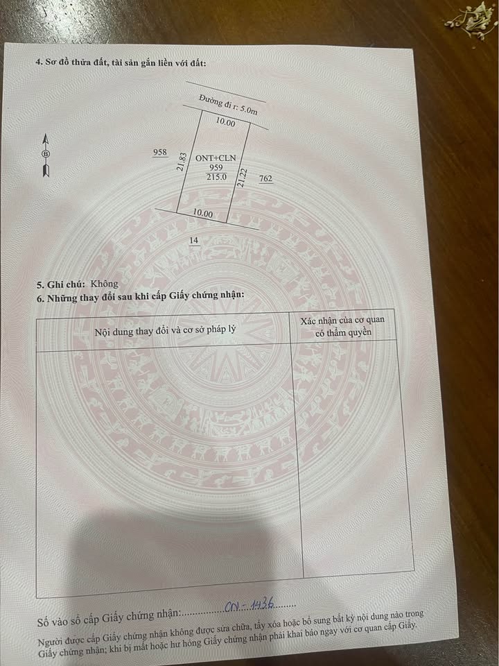 Đất nền Quảng Tân, Thanh Hóa 215m² giá 1 tỷ - Đường thông ô tô thuận tiện