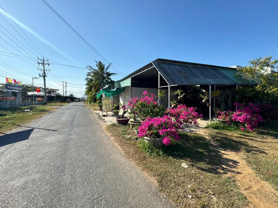 Đất nền 1000m² tại Hàm Hiệp, Bình Thuận giá chỉ 900 triệu - Cơ hội đầu tư tuyệt vời!