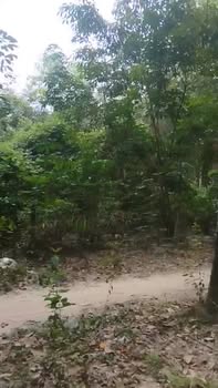 Đất nền Bình Mỹ, Bắc Tân Uyên, 4017m², giá 8 tỷ - Đầu tư sinh lời ngay!