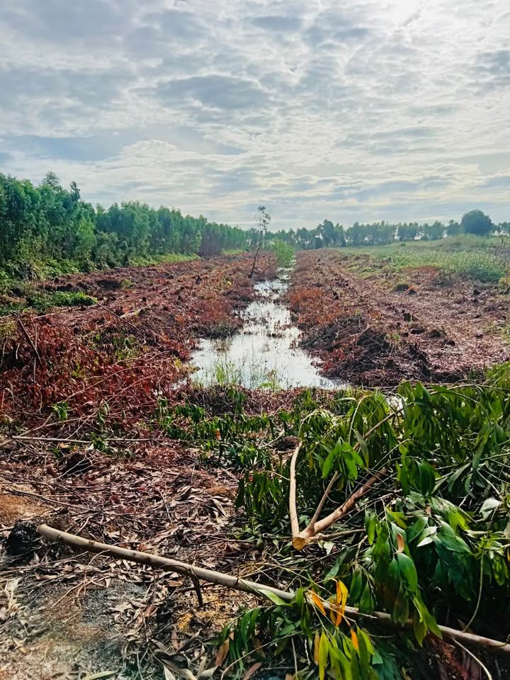 Bán đất 2 mặt tiền Tân Lập 2, Tân Phước - 8.548,9m² chỉ 6.69 tỷ - Đầu tư sinh lợi cao!