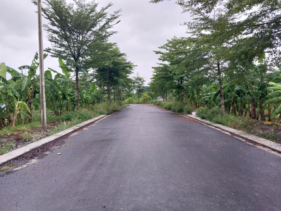 Đất nền Gia Thịnh, Gia Viễn 200m² giá thỏa thuận - Đầu tư sinh lời nhanh chóng!