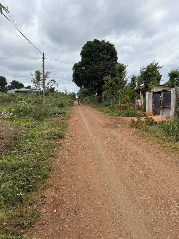 Đất thổ cư xã Ea H'đinh 300m² giá 390 triệu - Sổ đỏ chính chủ