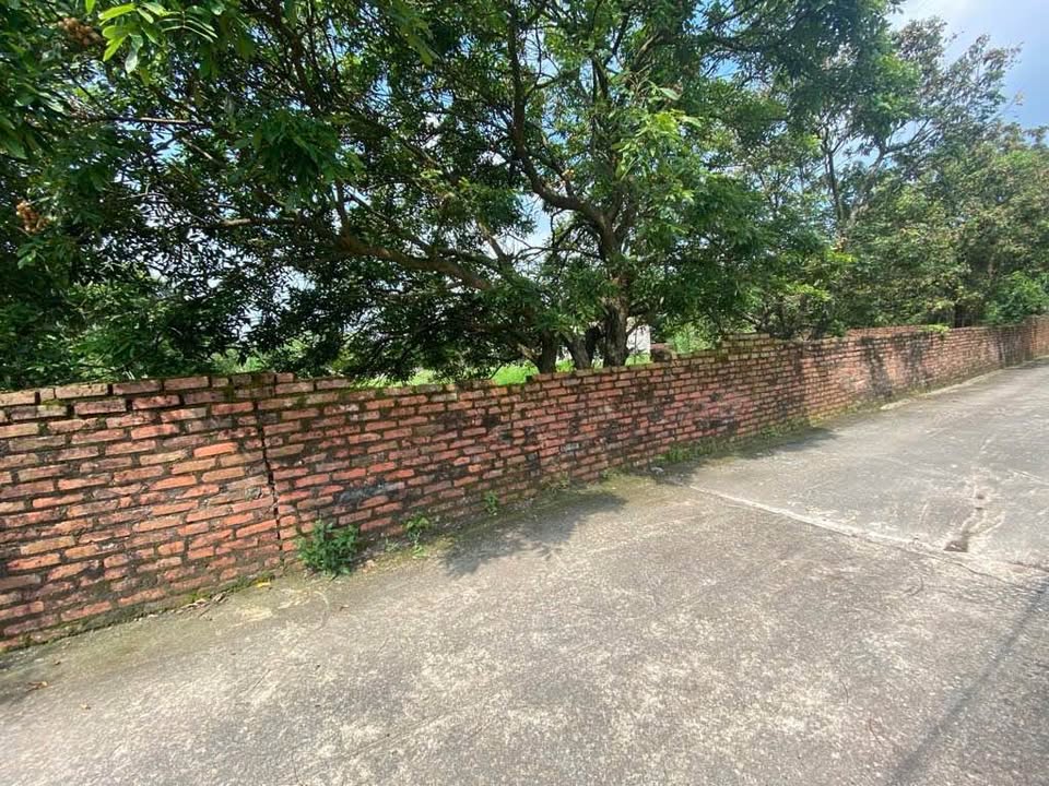 Đất phân lô Minh Phú, Sóc Sơn 875m² giá 13 tỷ - Đầu tư sinh lời cao!