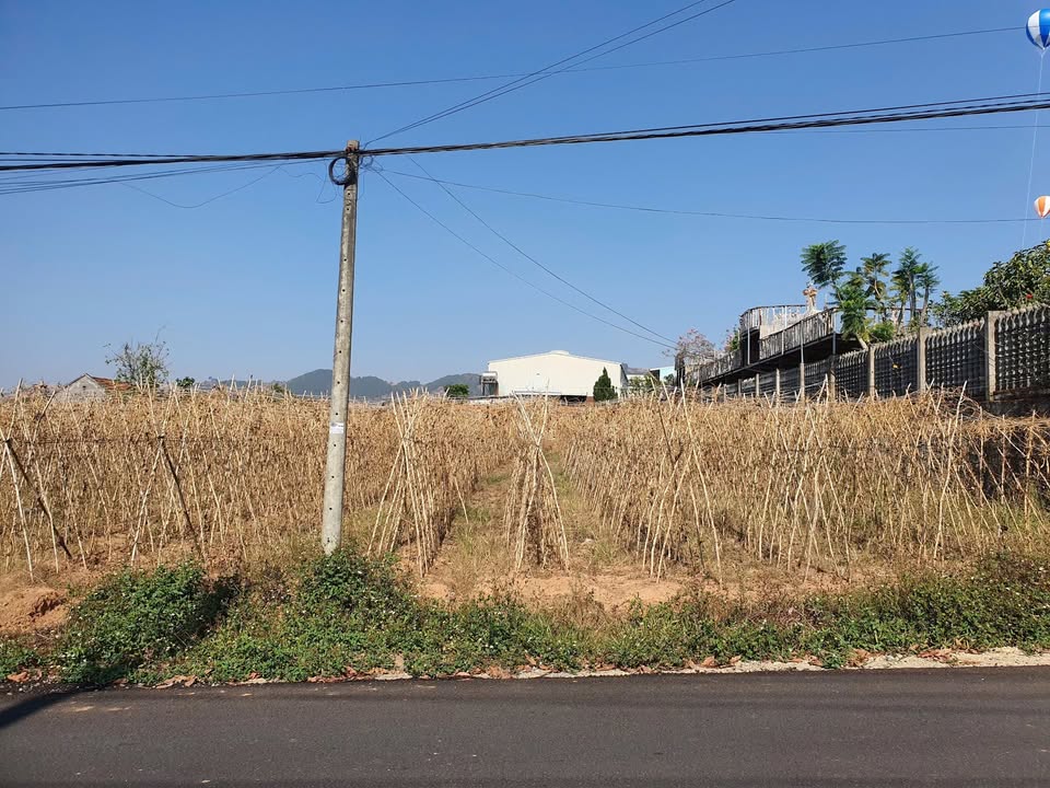 Đất 2 Mặt Tiền Chính Tà Nung, Đà Lạt 3500m² chỉ 18 tỷ - Cơ hội đầu tư hấp dẫn!