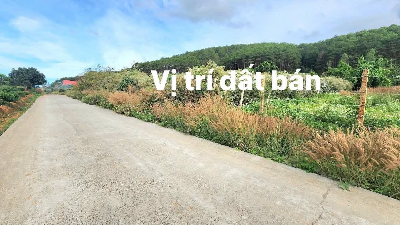 Đất nền 550m² tại xã Nam Ban, Lâm Hà chỉ 2 tỷ - View Phật Bà tuyệt đẹp!