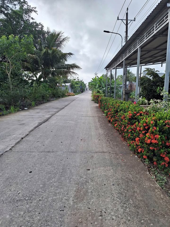 Đất mặt tiền Lộ Giục Tượng, Bàn Tân Định 2143m² giá 1.999 tỷ - Cơ hội đầu tư hấp dẫn!