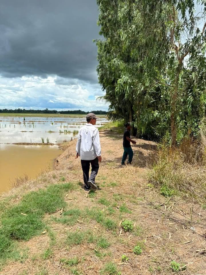 Đất ruộng 7.163m² tại ấp Vĩnh Đằng, Kiên Giang - Giá chỉ 4.9 tỷ!