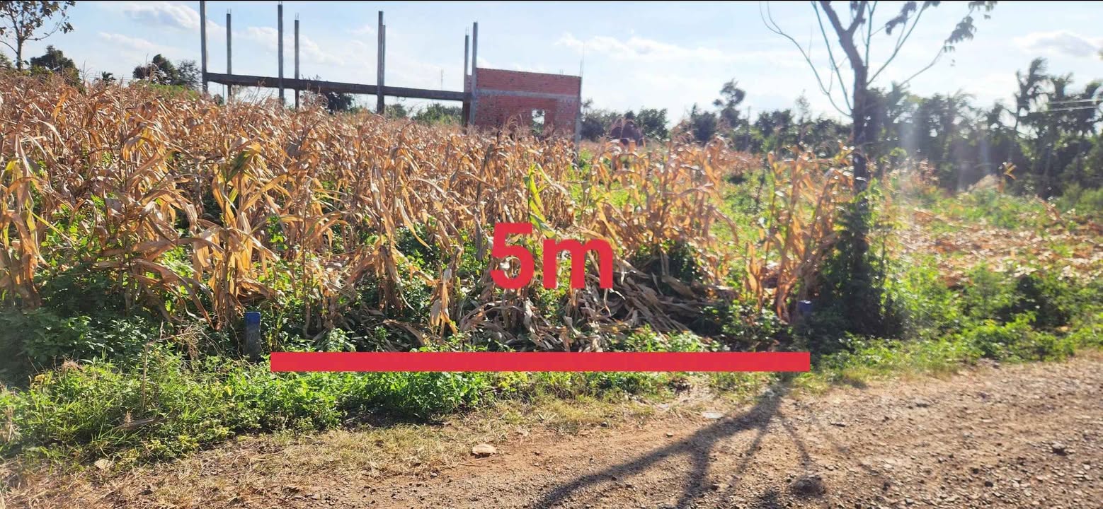 Đất thổ cư Cư Suê 120m² giá 280 triệu - Cơ hội đầu tư tuyệt vời!