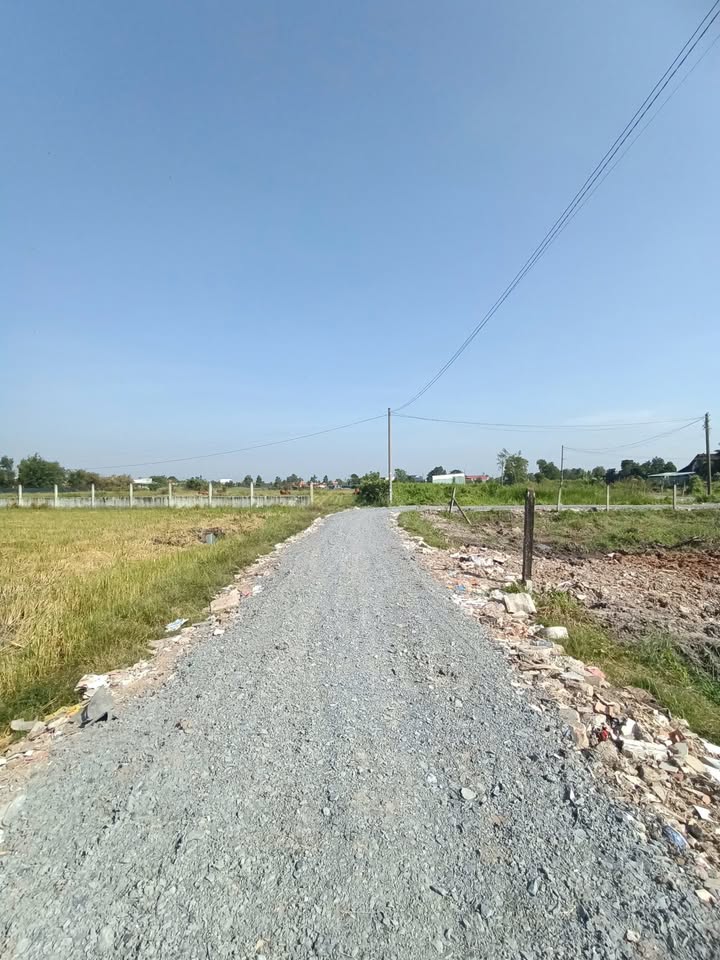 Đất thổ cư 115m² tại Mỹ Hạnh Bắc, Đức Hòa giá 950 triệu - Sổ hồng riêng, đường thông thoáng!