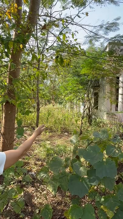 Đất nền mặt tiền Ngãi Giao, Châu Đức, Bà Rịa - Vũng Tàu, 582m², giá chỉ 320 triệu