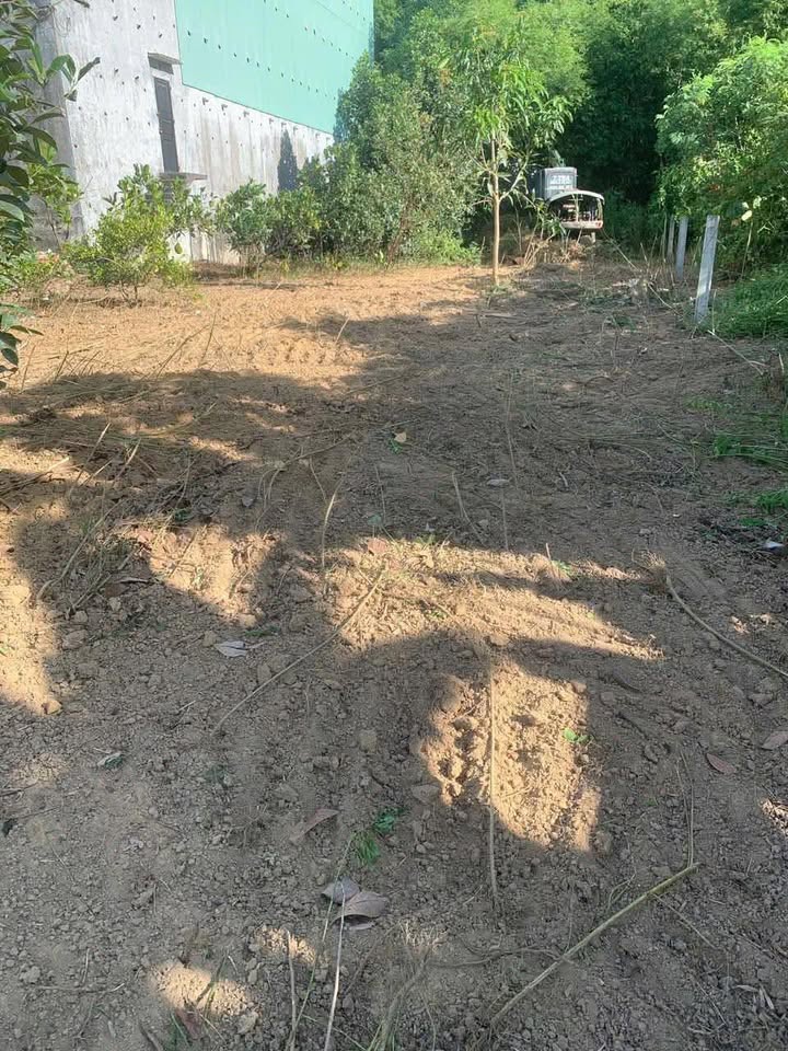 Đất nền đường Lê Đại Hành, Nam Phước 228m² giá 700 triệu - Sổ đỏ chính chủ trao tay!