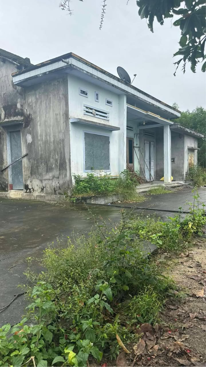 Đất nền Quế Xuân 2 205m² giá chỉ 420 triệu - Tặng nhà cấp 4!