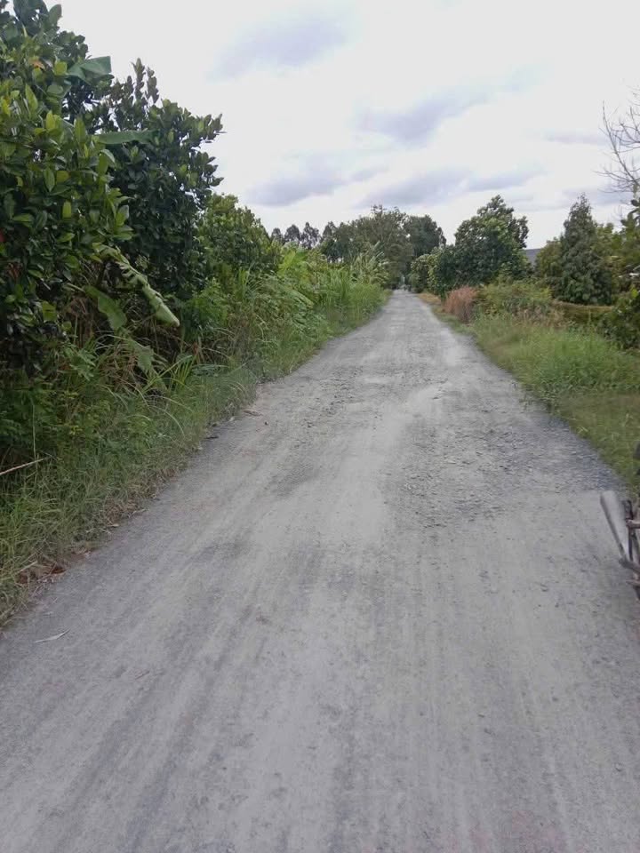 Đất vườn 70000m² tại Mỹ Trung, Cái Bè, Tiền Giang giá 4.5 tỷ - Đầu tư sinh lời ngay!