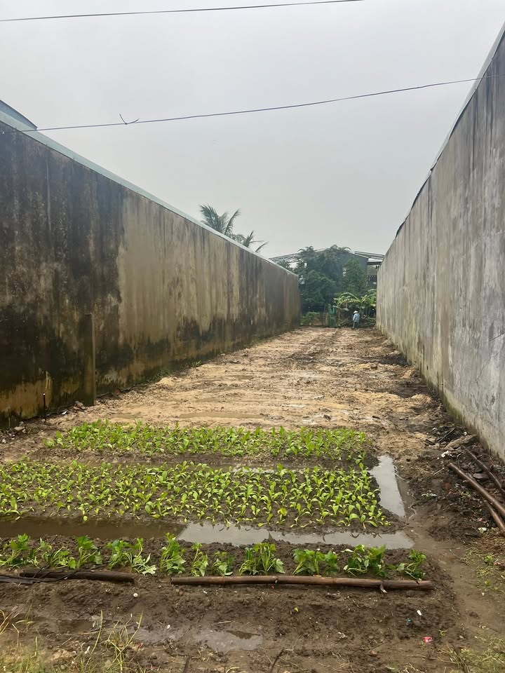 Đất nền Điện Ngọc 40m² giá 648 triệu - Cơ hội đầu tư hấp dẫn!