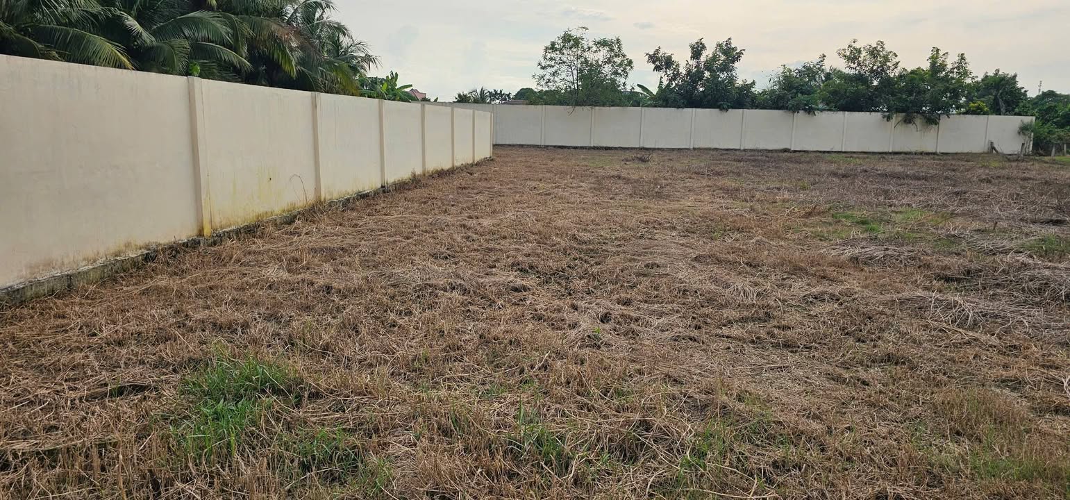 Đất nền Tân Bình, Tân Trụ, Long An 250m² giá 1 tỷ - Sổ đỏ chính chủ, giao thông thuận lợi!