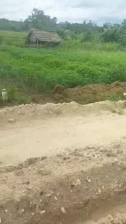 Đất nền Ia Sao, Ayun Pa 2000m² - Đầu tư bền vững giá mềm!