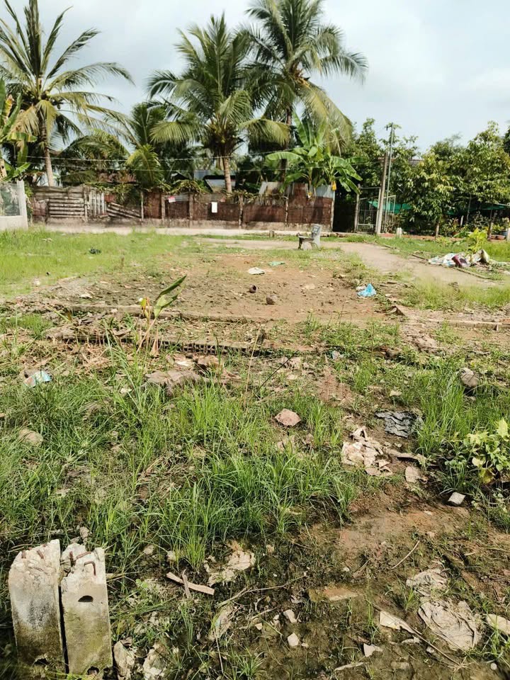 Đất nền Phú Tân Châu Thành 120m² giá 300 triệu - Sổ đỏ chính chủ!