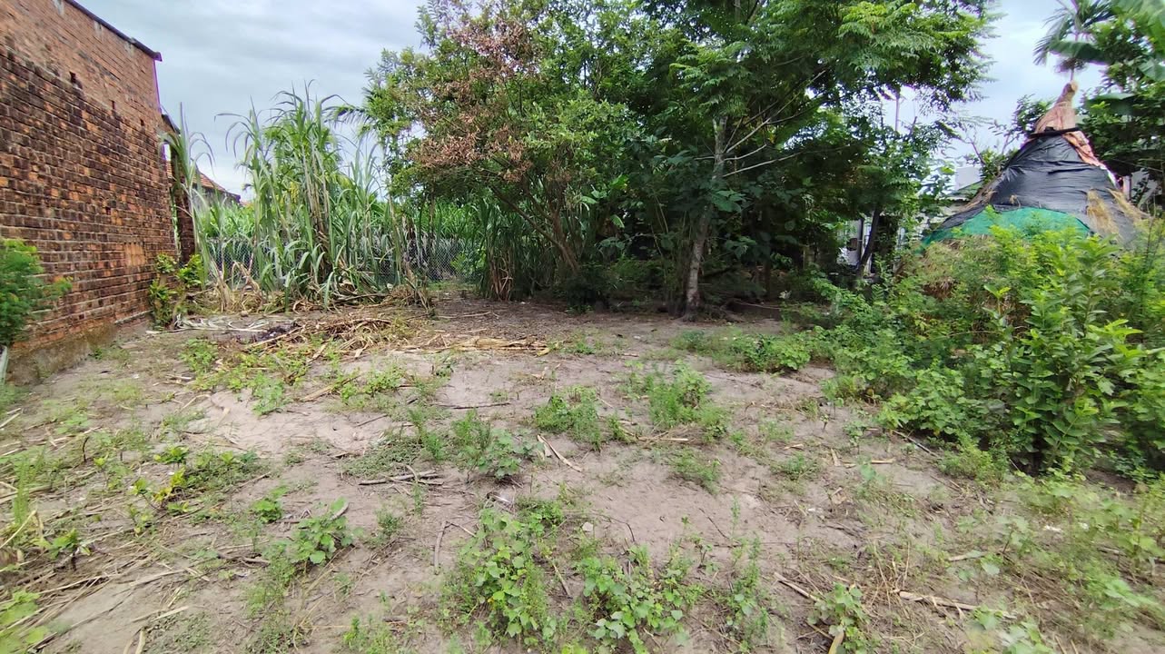 Đất nền Thị trấn La Hà 100m² giá 530 triệu - Đường ô tô vào tận nơi!