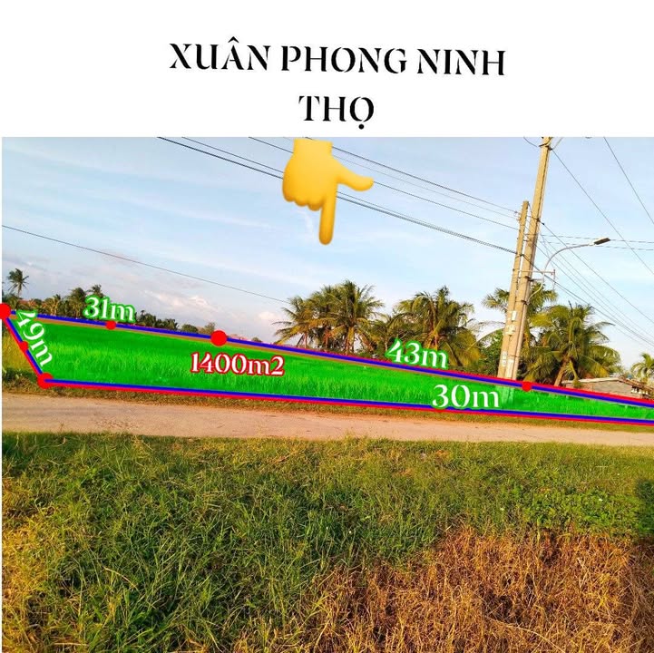 Đất nền Ninh Hòa 1.400m² giá 1.68 tỷ - Vị trí tiềm năng nhất khu vực!