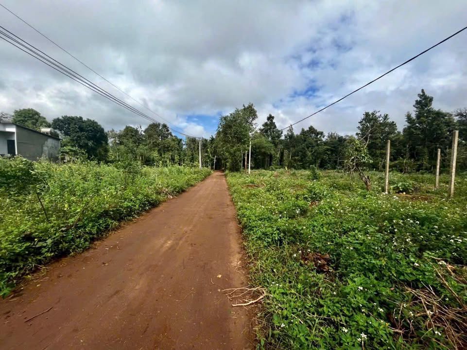 Đất thổ cư Cuôr Đăng 135m² giá chỉ 495 triệu - Cơ hội đầu tư tuyệt vời!