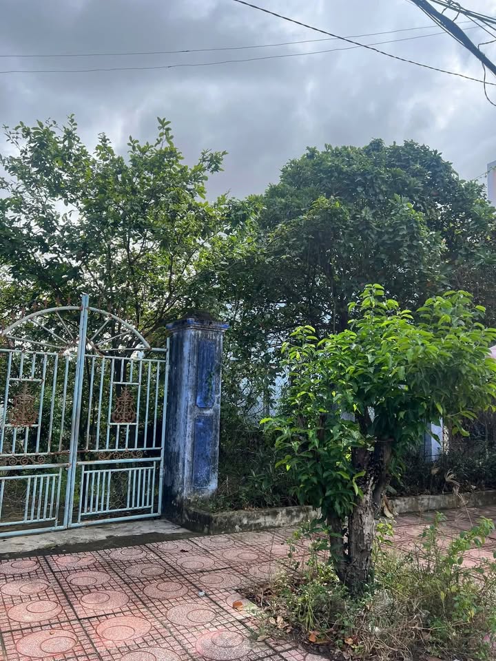 Đất nền mặt tiền đường Trần Quý Cáp, Ninh Hiệp 213,9m² giá 12.834 tỷ - Đầu tư sinh lời hấp dẫn!