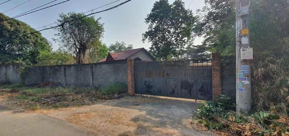 Đất mặt tiền đường Cây Gõ, xã An Nhơn Tây, Củ Chi 1.770m² - Giá chỉ 8 tỷ, thương lượng chính chủ!