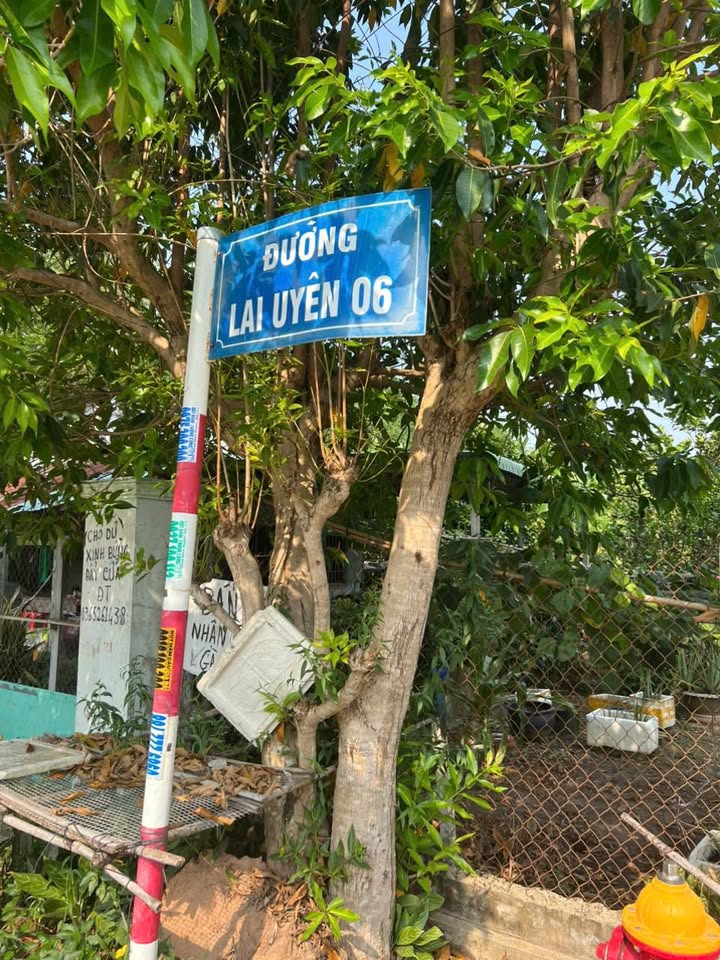 Đất thổ cư 80m² xã Trừ Văn Thố, Bàu Bàng giá 999 triệu - Cơ hội đầu tư hấp dẫn!